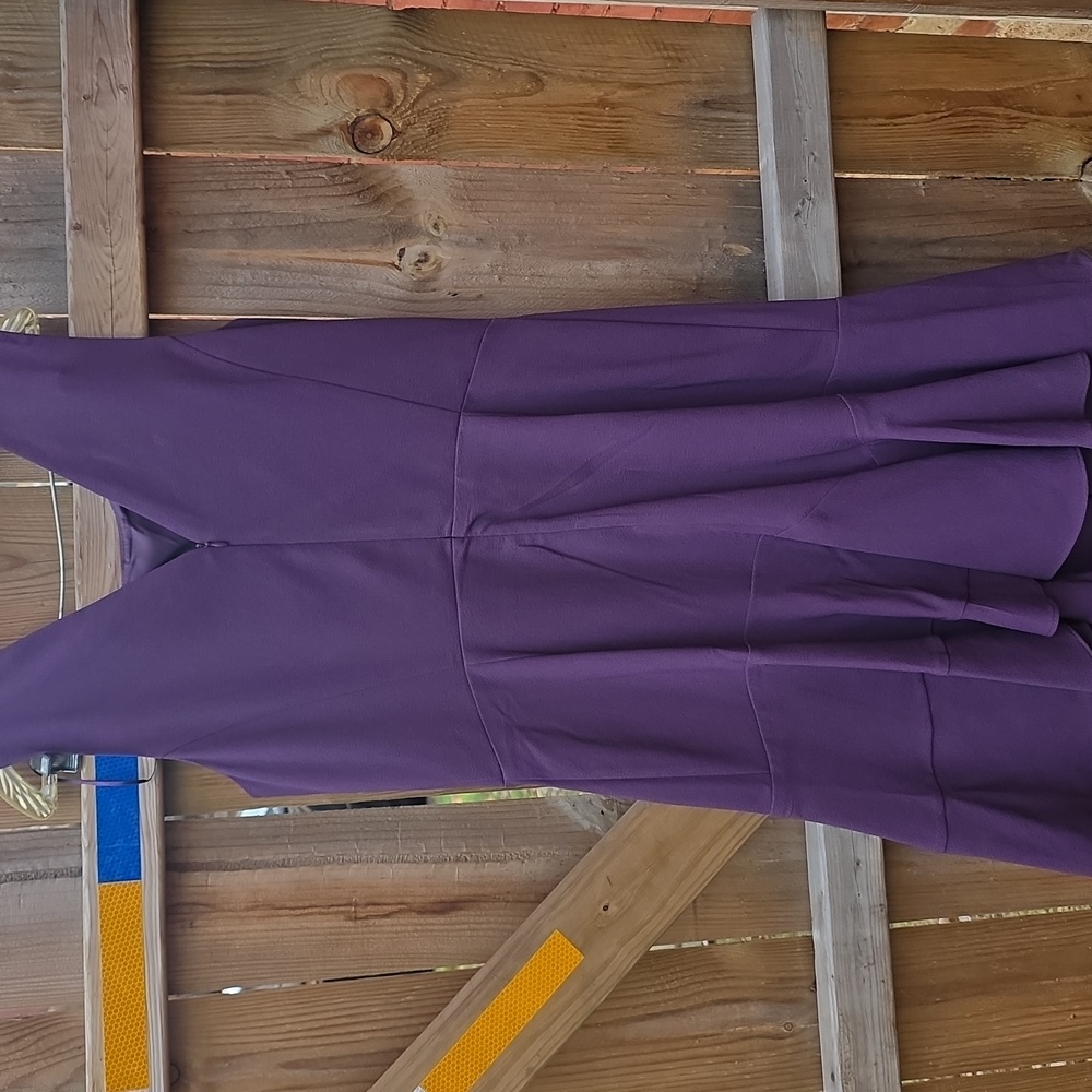 Purple Ruffle Dress - Picture 4 of 5